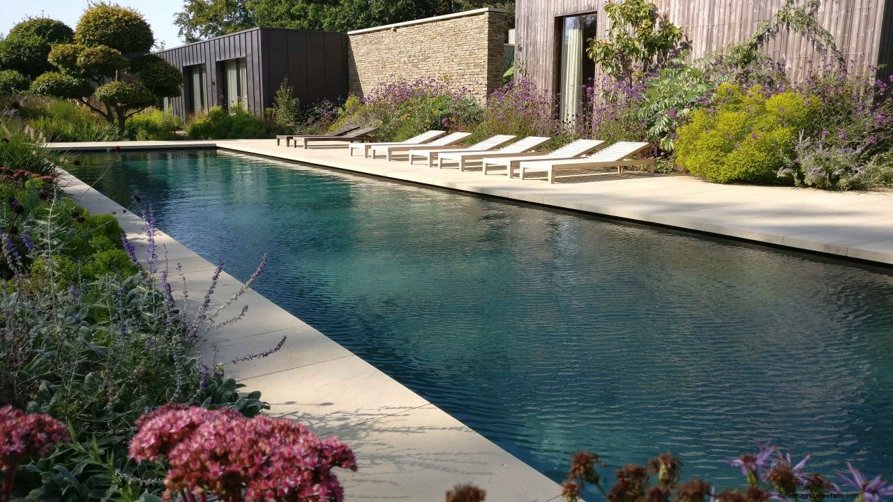 Pool design ideas: expert advice on how to design a pool in your backyard