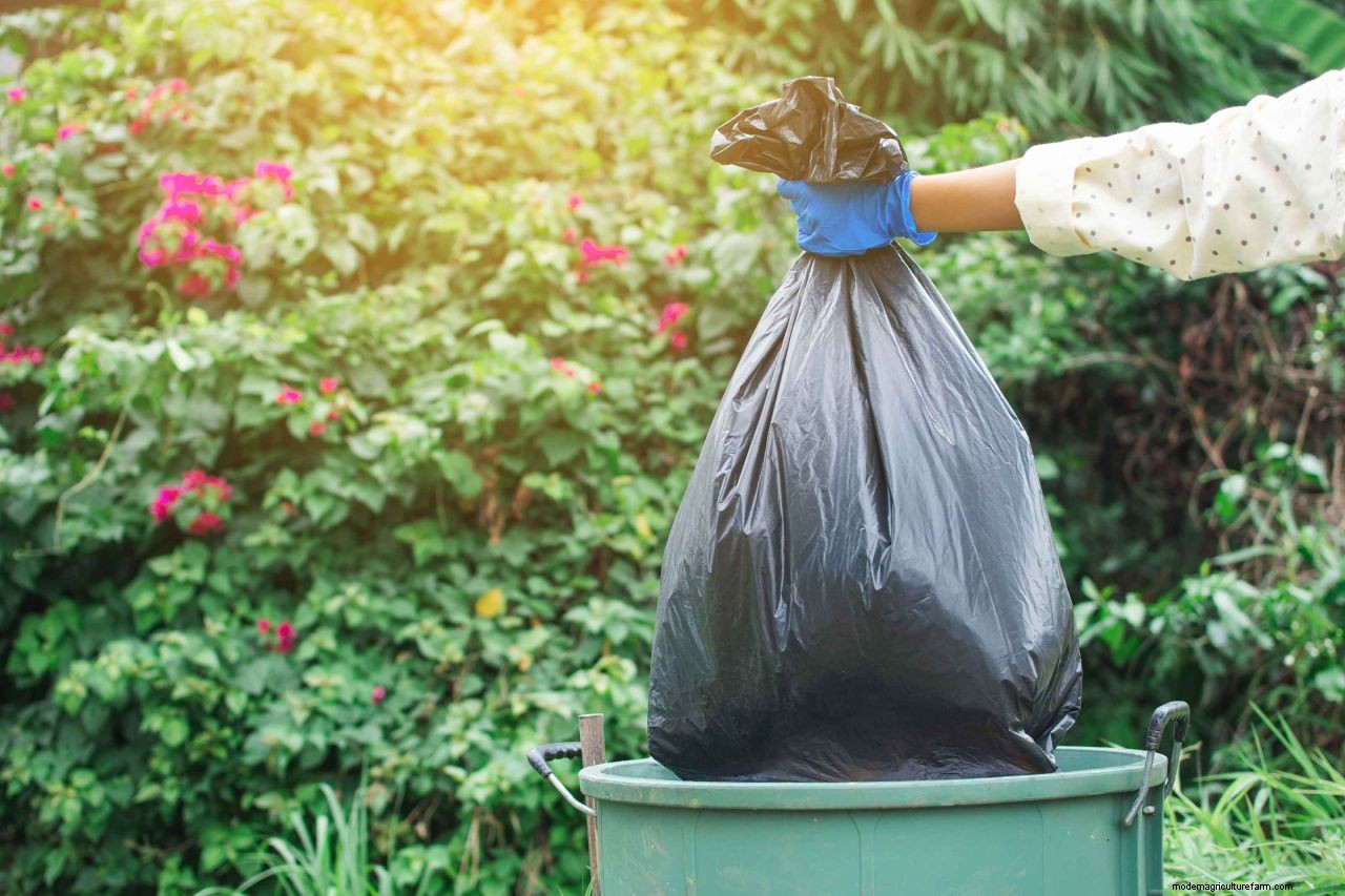 How to get rid of skunks in your yard: non-lethal ways to keep these pesky creatures at bay