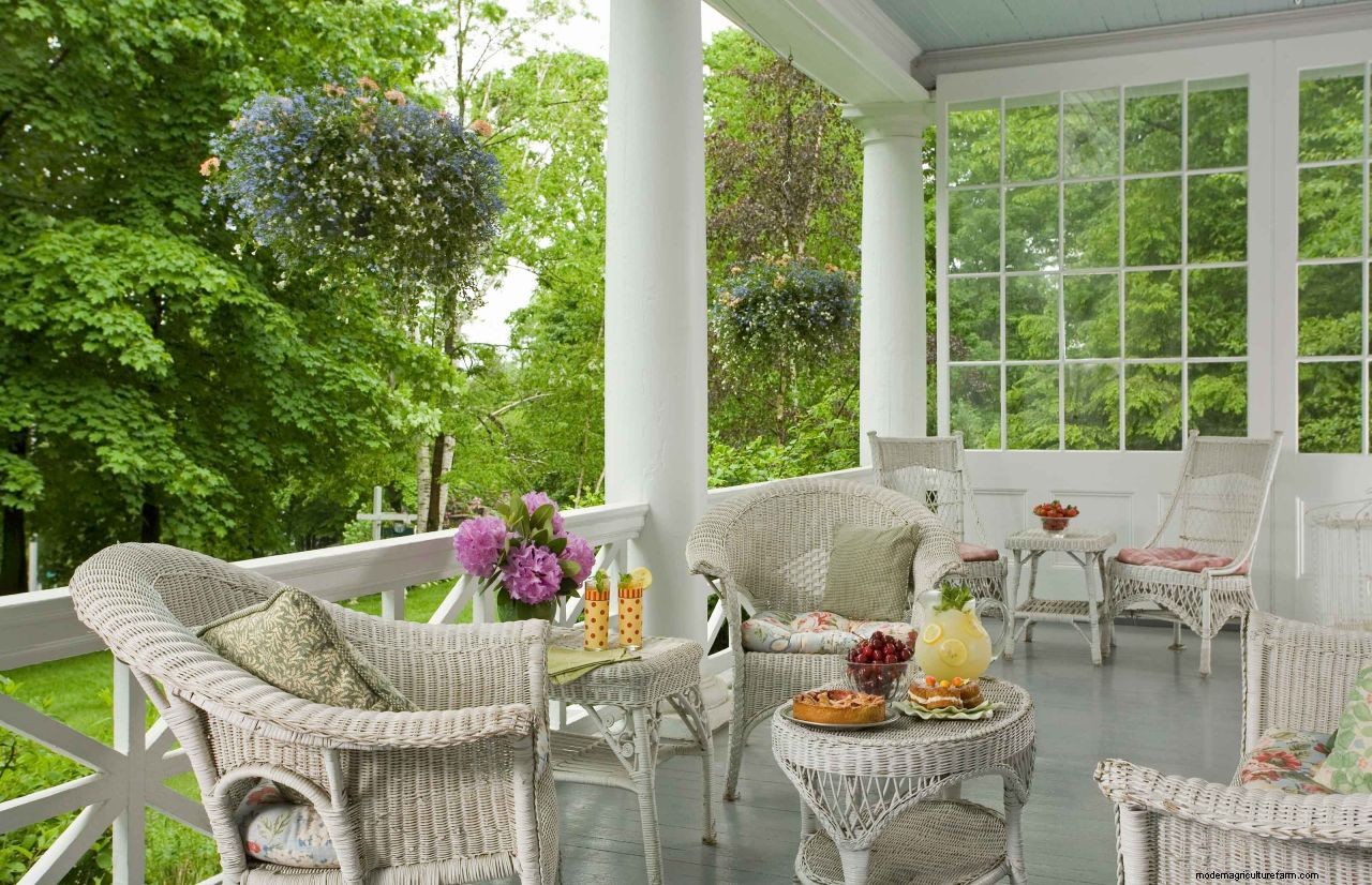 How to get rid of skunks in your yard: non-lethal ways to keep these pesky creatures at bay