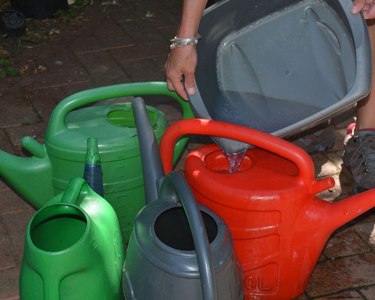 Watering plants while away on vacation: how to keep the garden watered