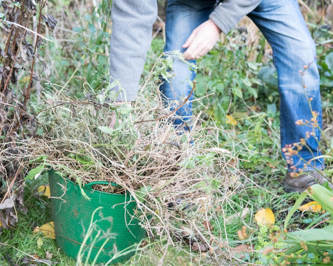 Gardener Scotts top tips for amending garden soil