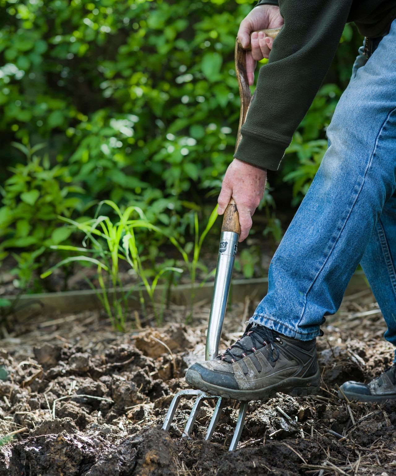 Gardener Scotts top tips for amending garden soil