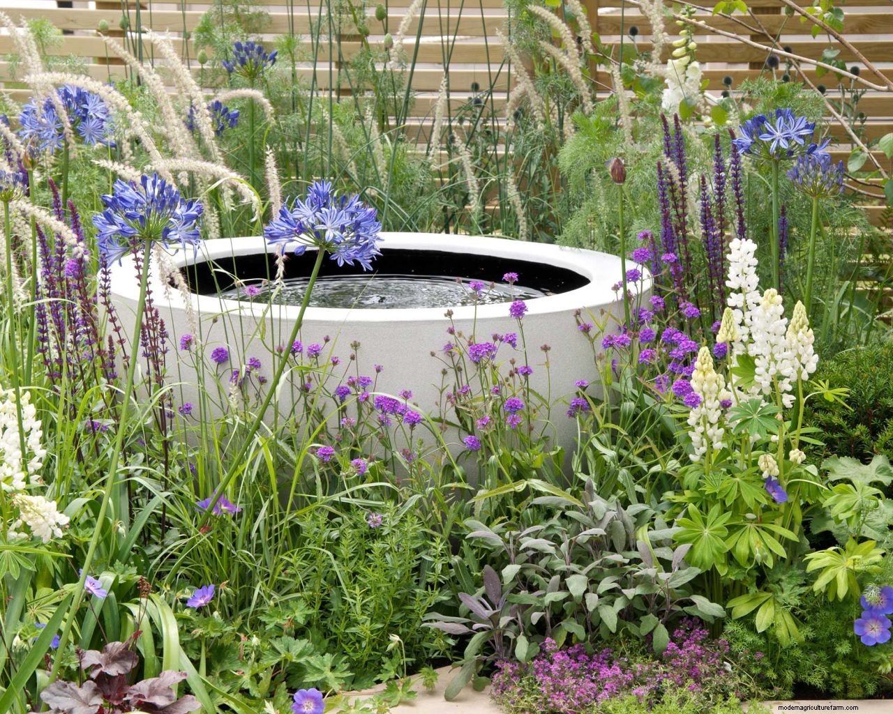 How to keep a water feature clean: easy tips for sparkling results