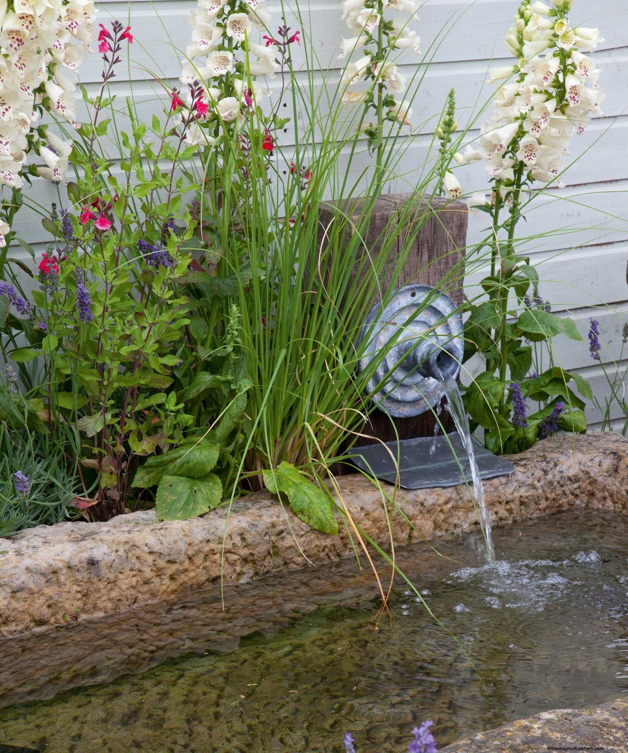 How to keep a water feature clean: easy tips for sparkling results