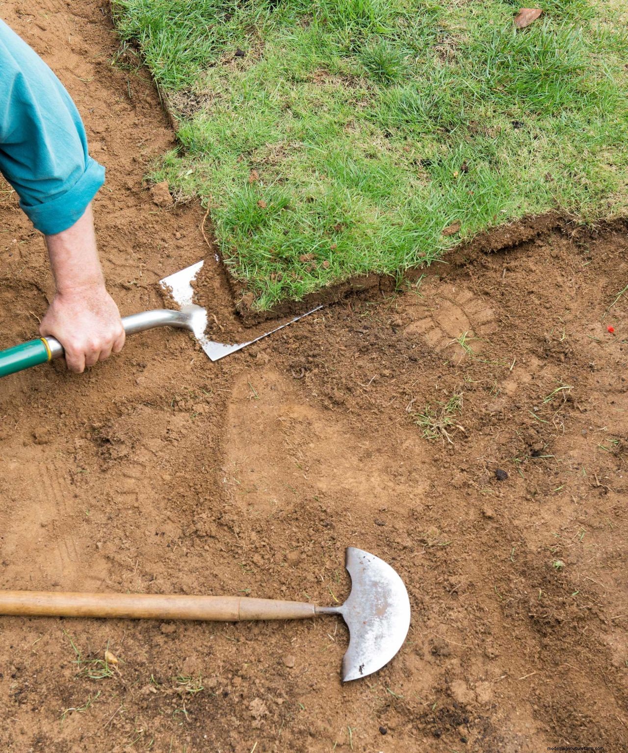 How to repair lawn patches with seed: simple steps for healthy grass