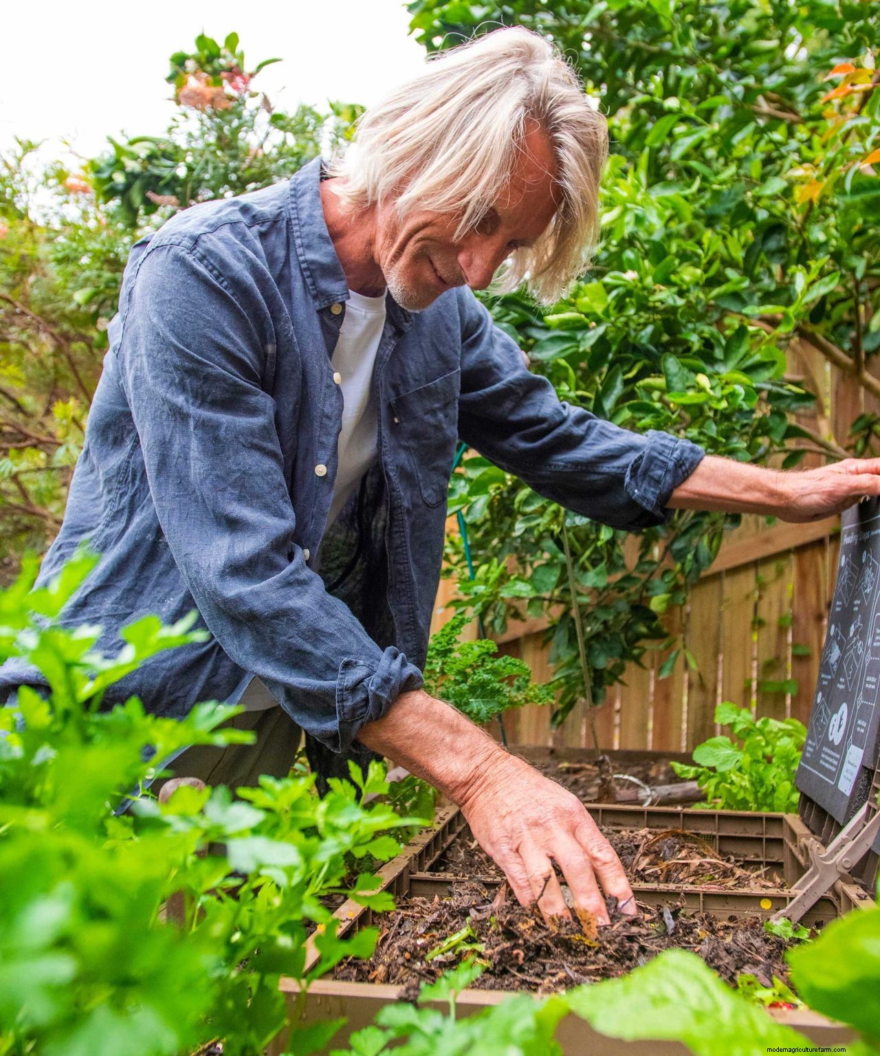 Worm composting: a practical guide on how to do it and why its good for your garden
