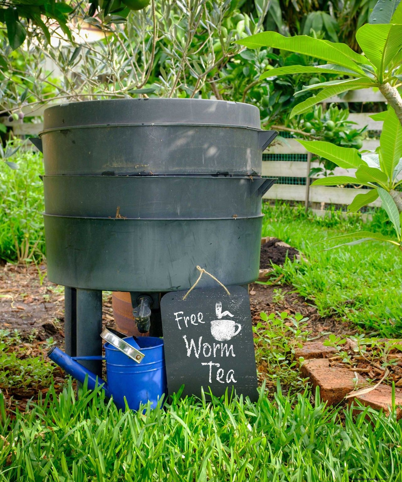 Worm composting: a practical guide on how to do it and why its good for your garden