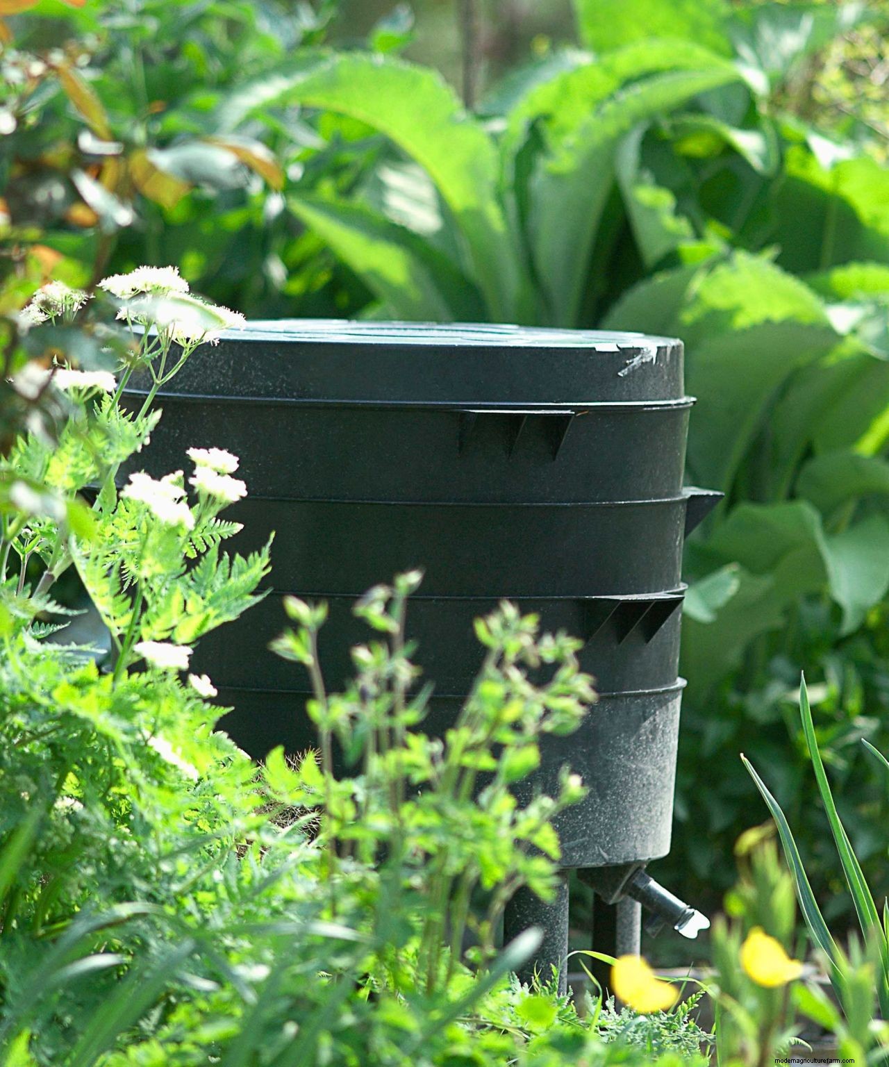 Worm composting: a practical guide on how to do it and why its good for your garden