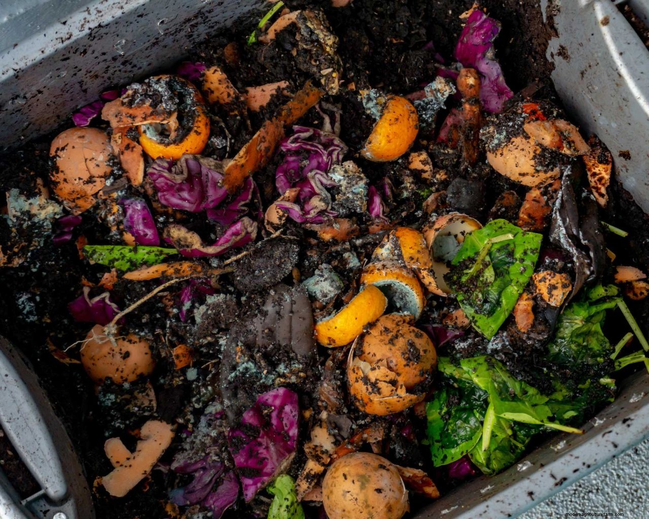 Worm composting: a practical guide on how to do it and why its good for your garden