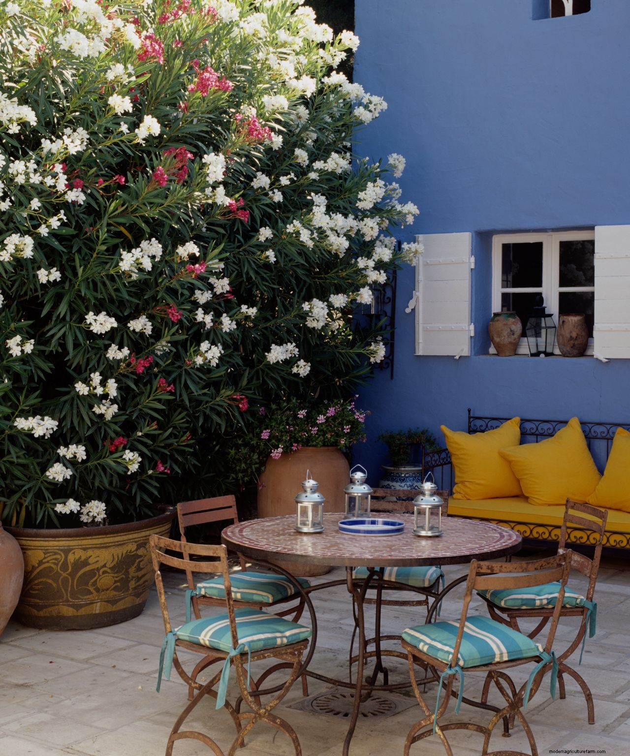 Should you use muriatic acid in your garden? Everything you need to know