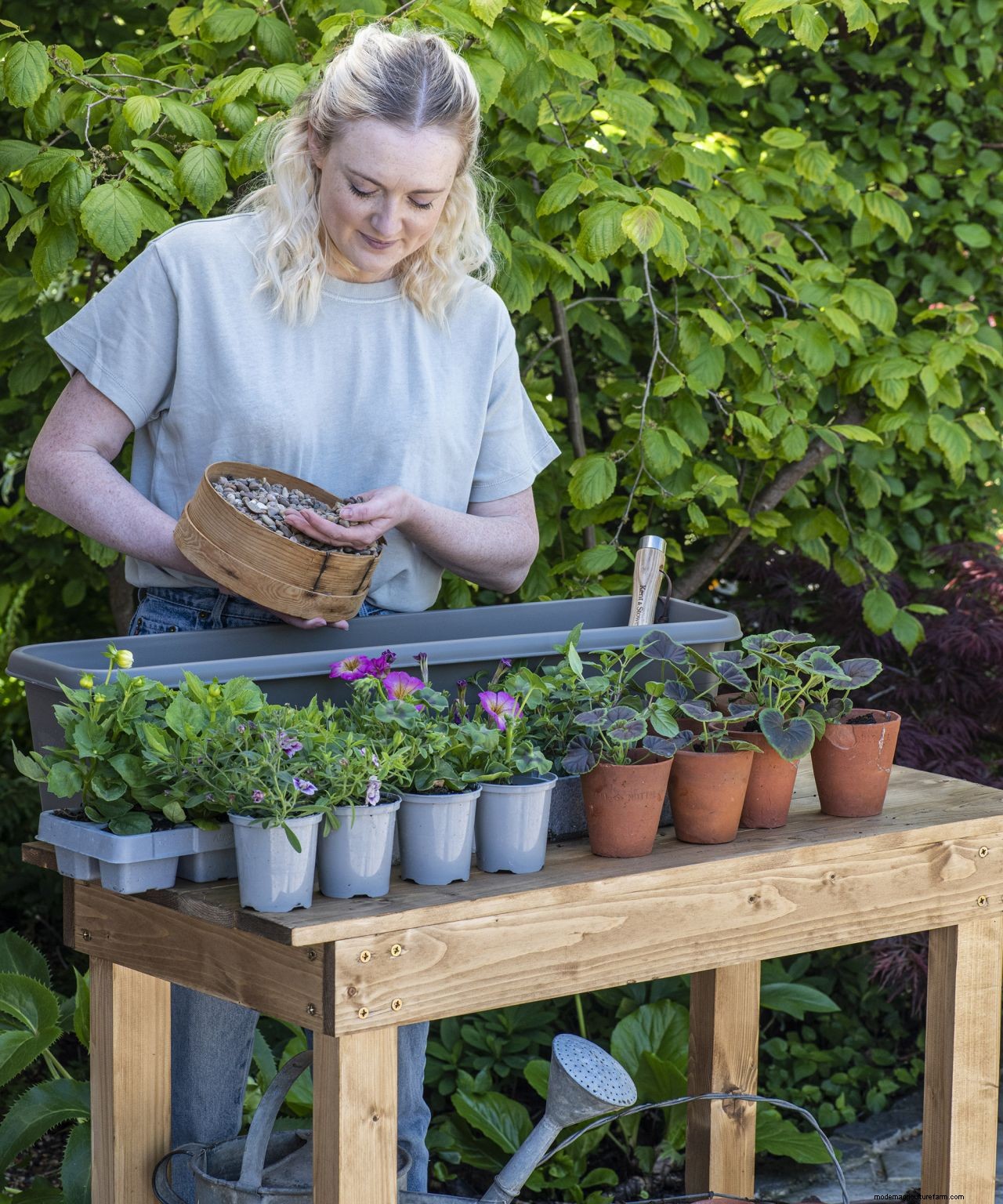 How to plant a window box: create a pretty display in five easy steps
