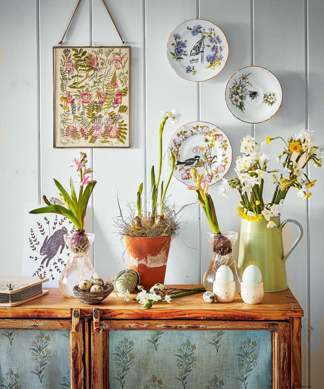 How to protect bulbs from frost: tips for brilliant blooms no matter the weather