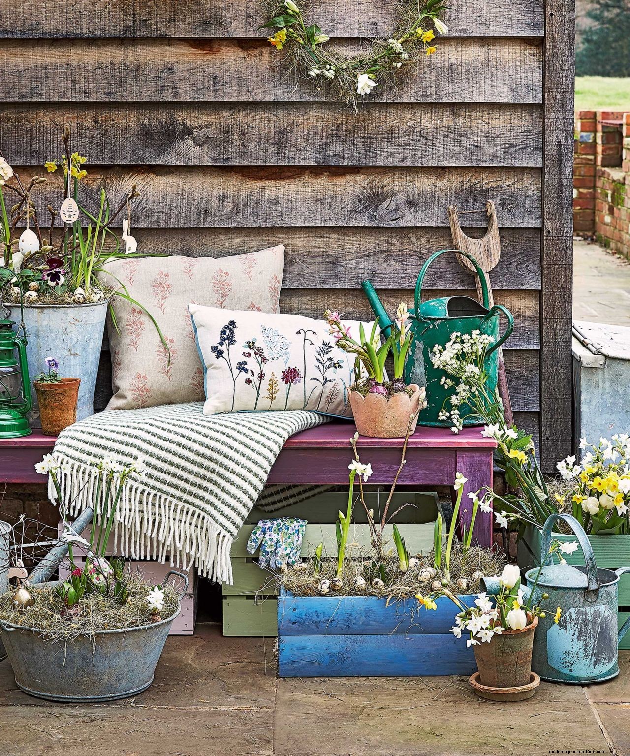 How to protect bulbs from frost: tips for brilliant blooms no matter the weather