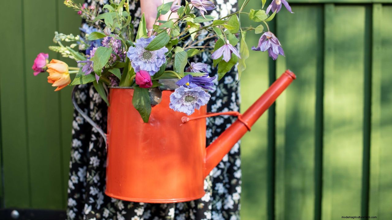 Planting bulbs for spring: a complete guide for a stunning display