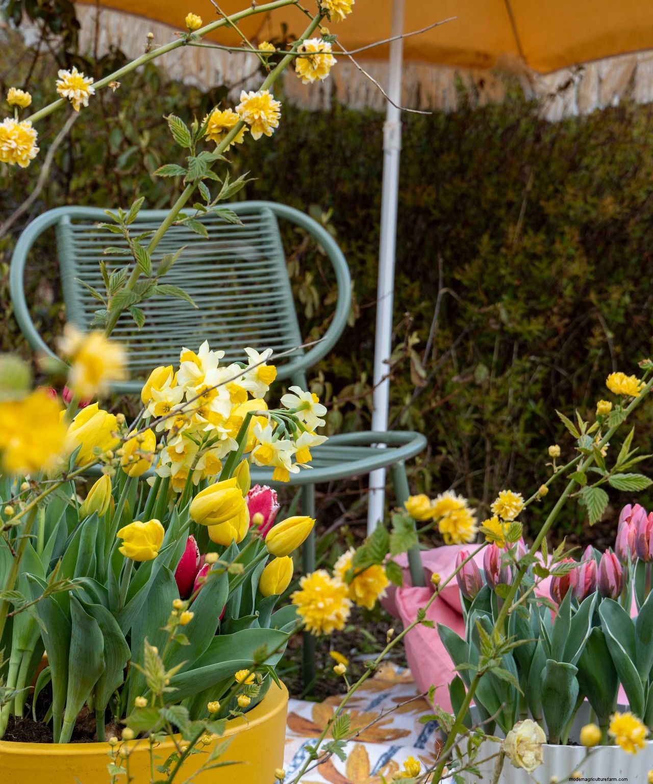 Planting bulbs for spring: a complete guide for a stunning display
