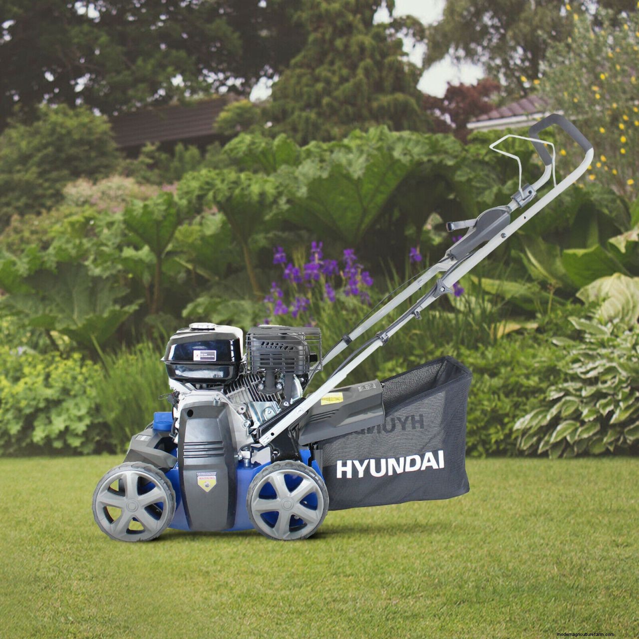 How to scarify a lawn: simple steps to give your grass a boost