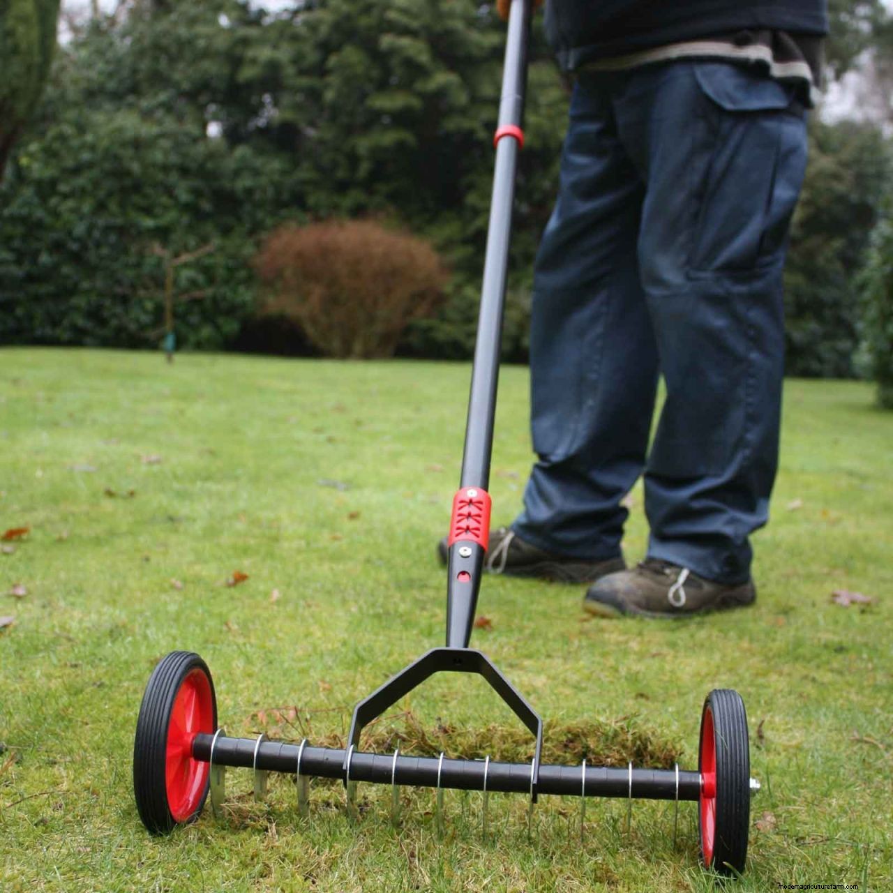 How to scarify a lawn: simple steps to give your grass a boost