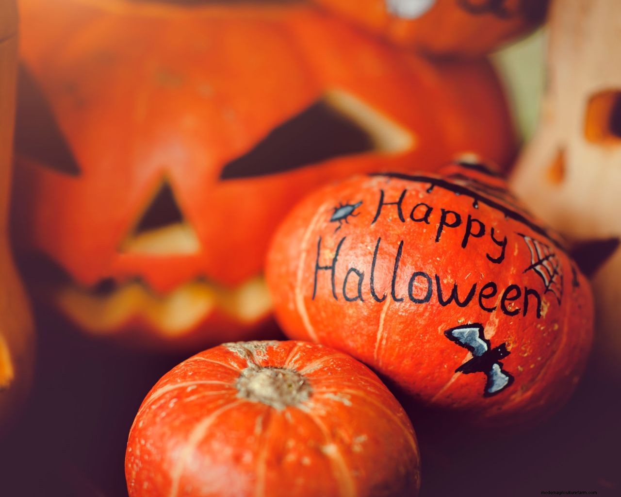 Pumpkin painting ideas: 15 ways to get creative and spin some Halloween magic