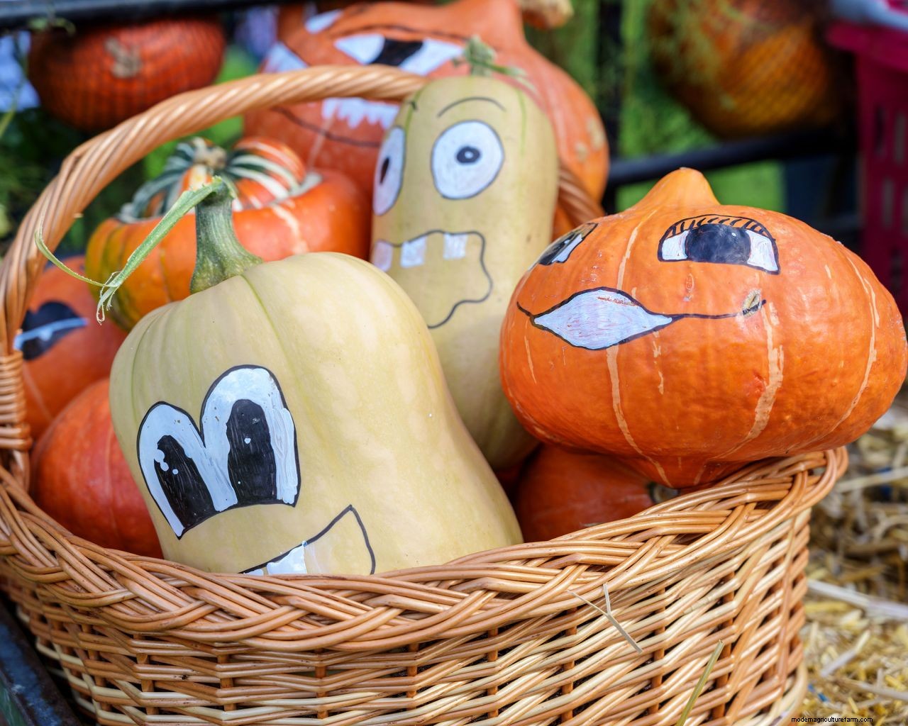 Pumpkin painting ideas: 15 ways to get creative and spin some Halloween magic
