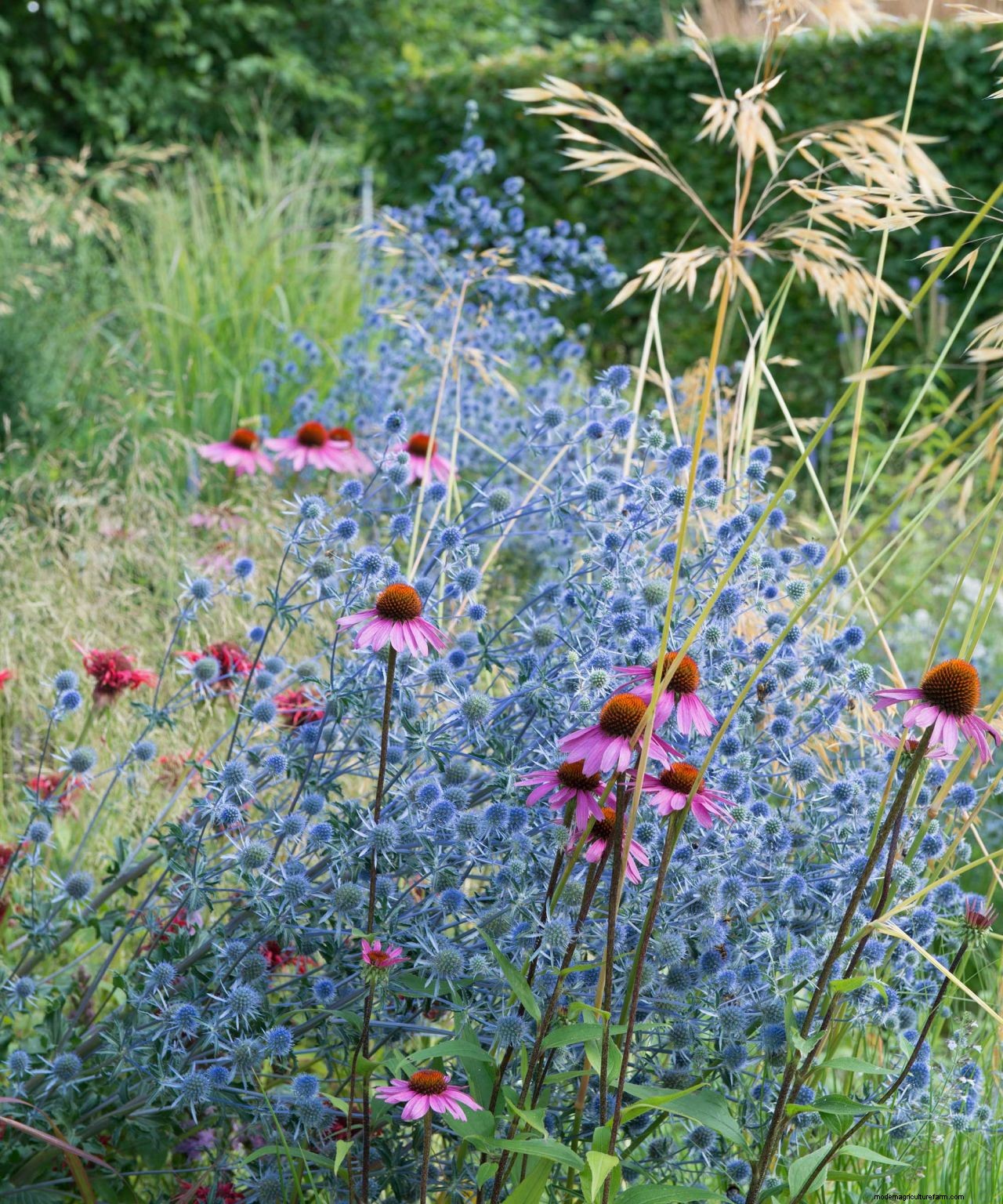 Fertilizing plants: how to give your flowers and foliage a boost