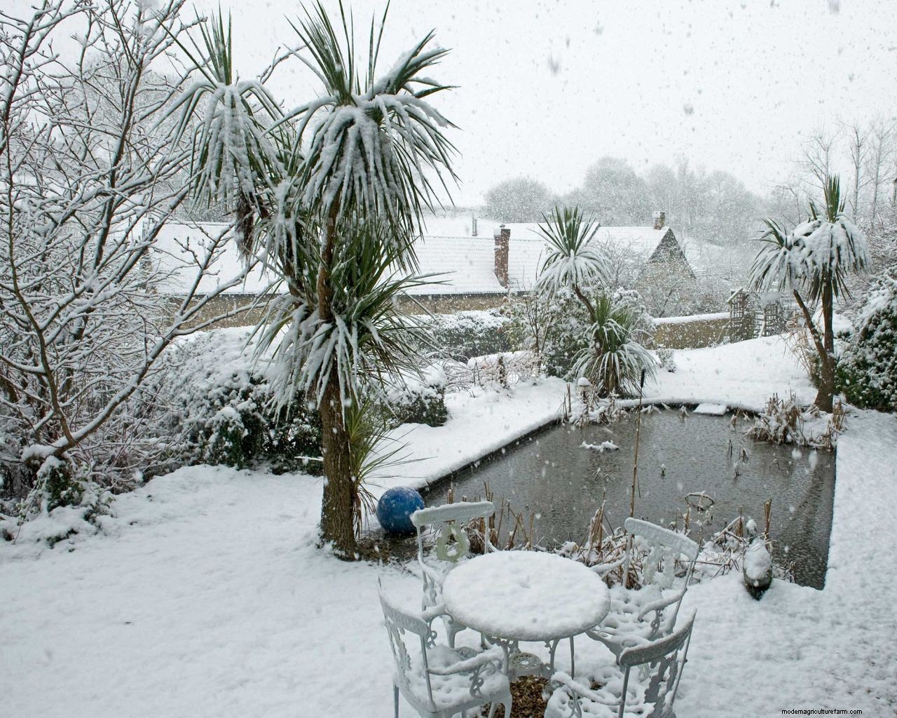 Heating a pond in winter: 5 ways to stop yours from freezing