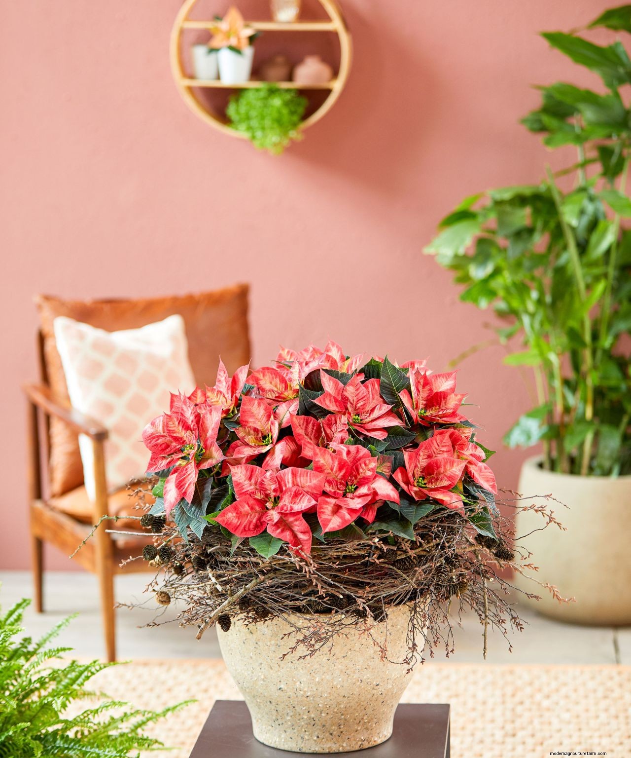 How to make a DIY poinsettia centerpiece in 4 simple steps