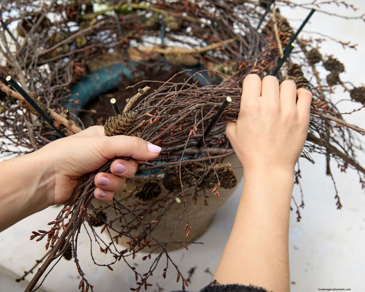 How to make a DIY poinsettia centerpiece in 4 simple steps