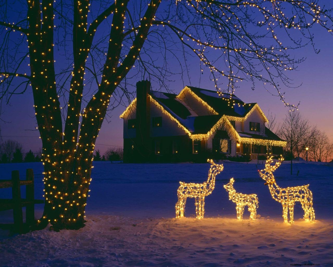 How to put Christmas lights on a house: simple steps for a festive glow