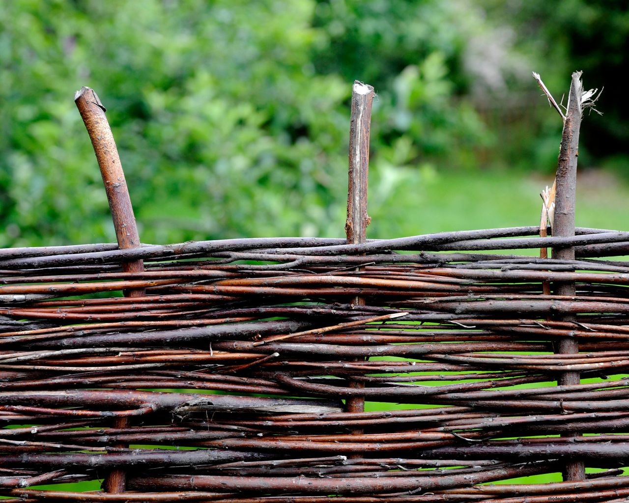 Fence types and how to choose them: find the best one for you