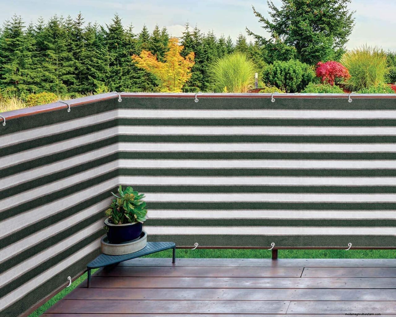 Fence types and how to choose them: find the best one for you