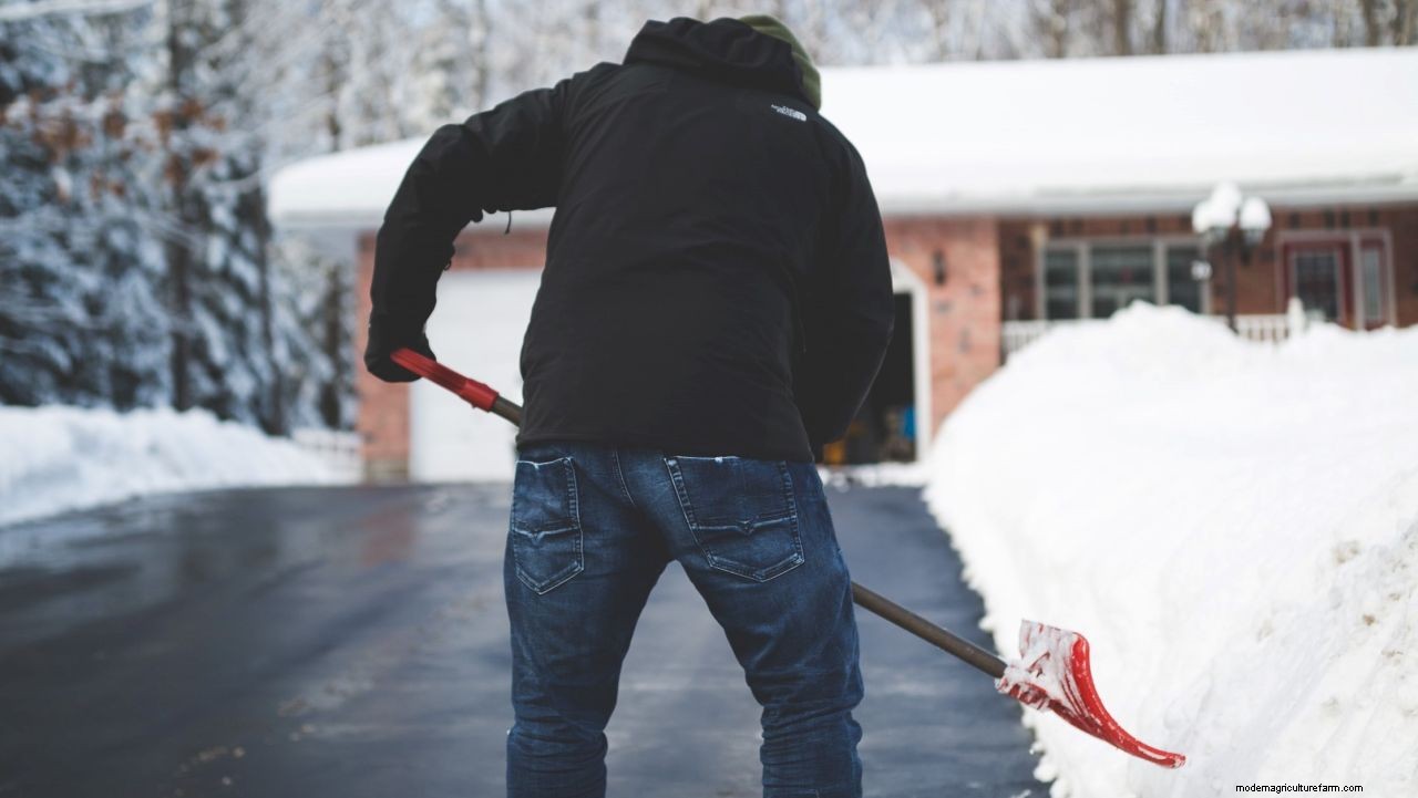 How to use a snow blower: tackle any blizzard with our simple tips