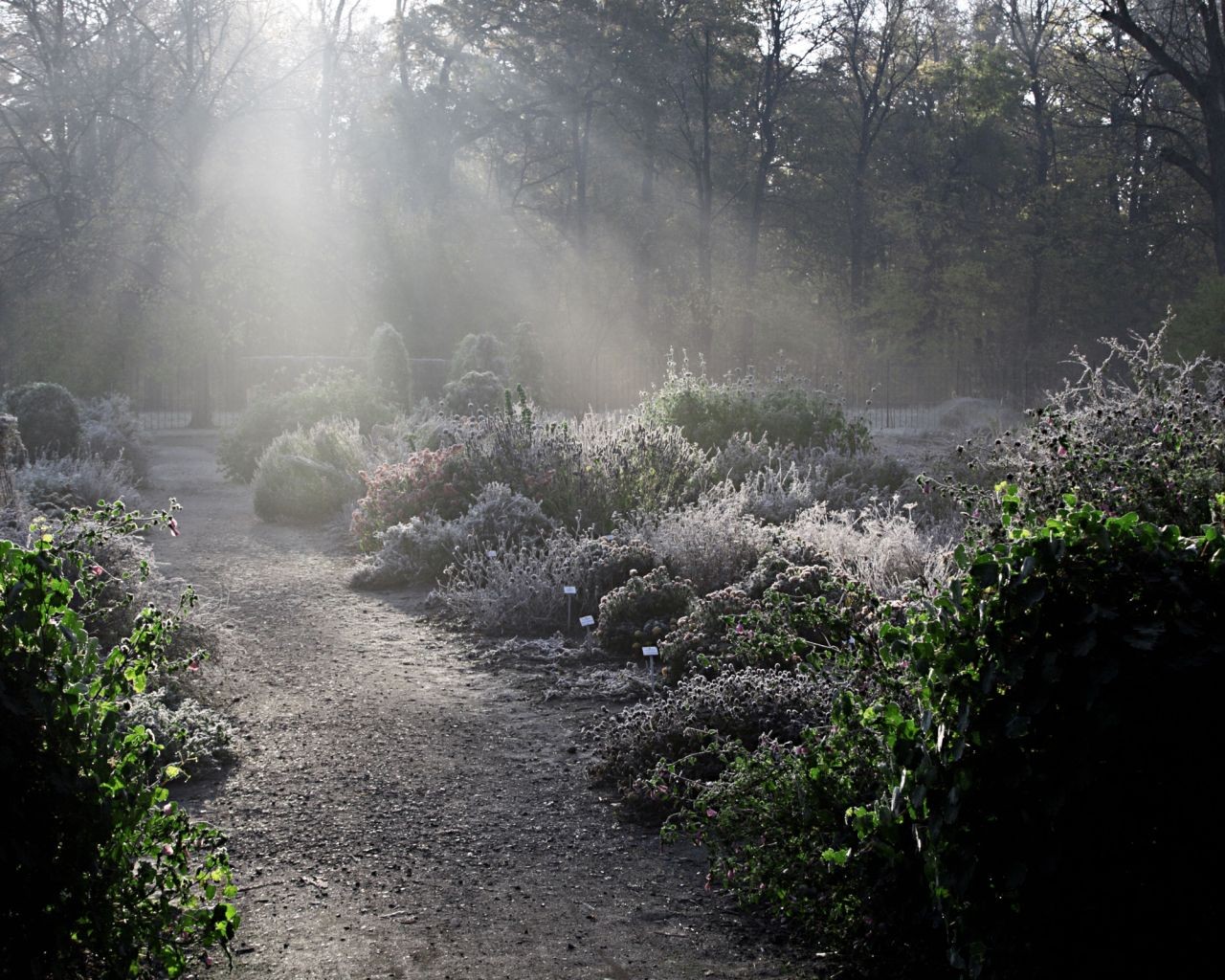 This is the one thing you need to do to stop your garden soil from freezing
