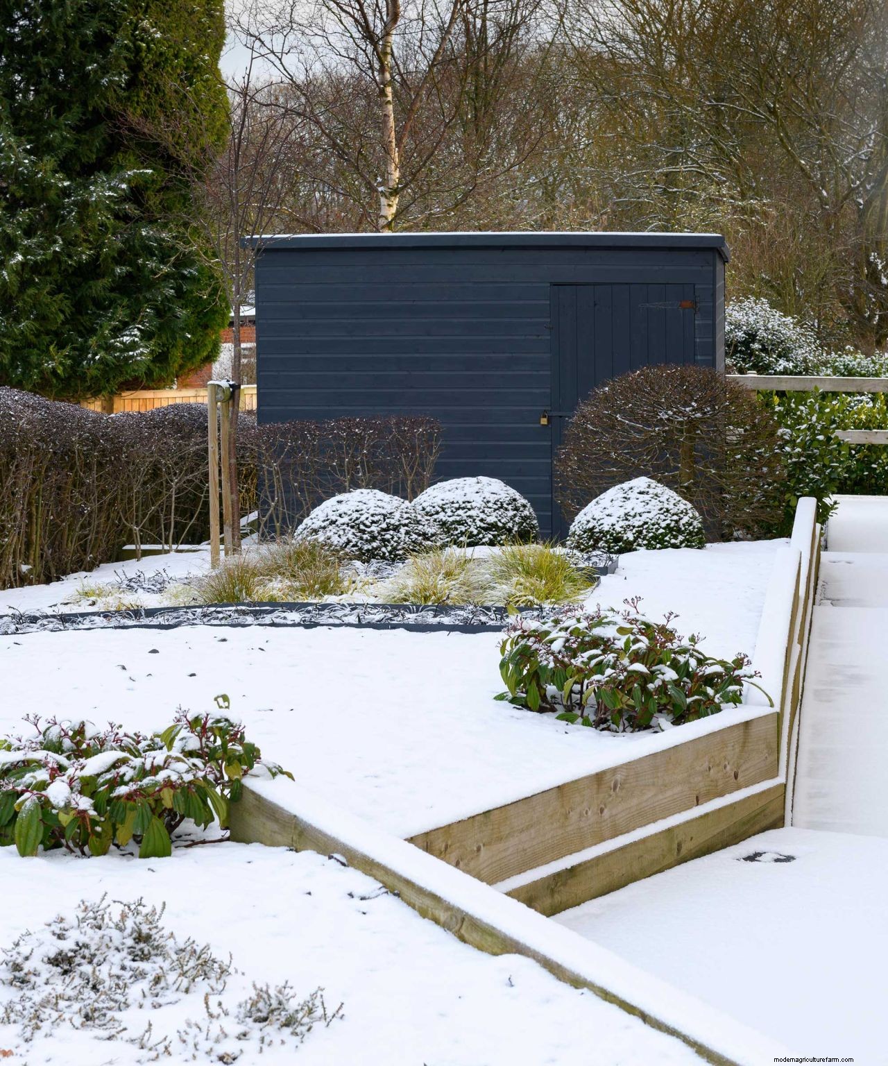 How to prepare a garden for winter: 10 ways to get your plot ready for the cooler season