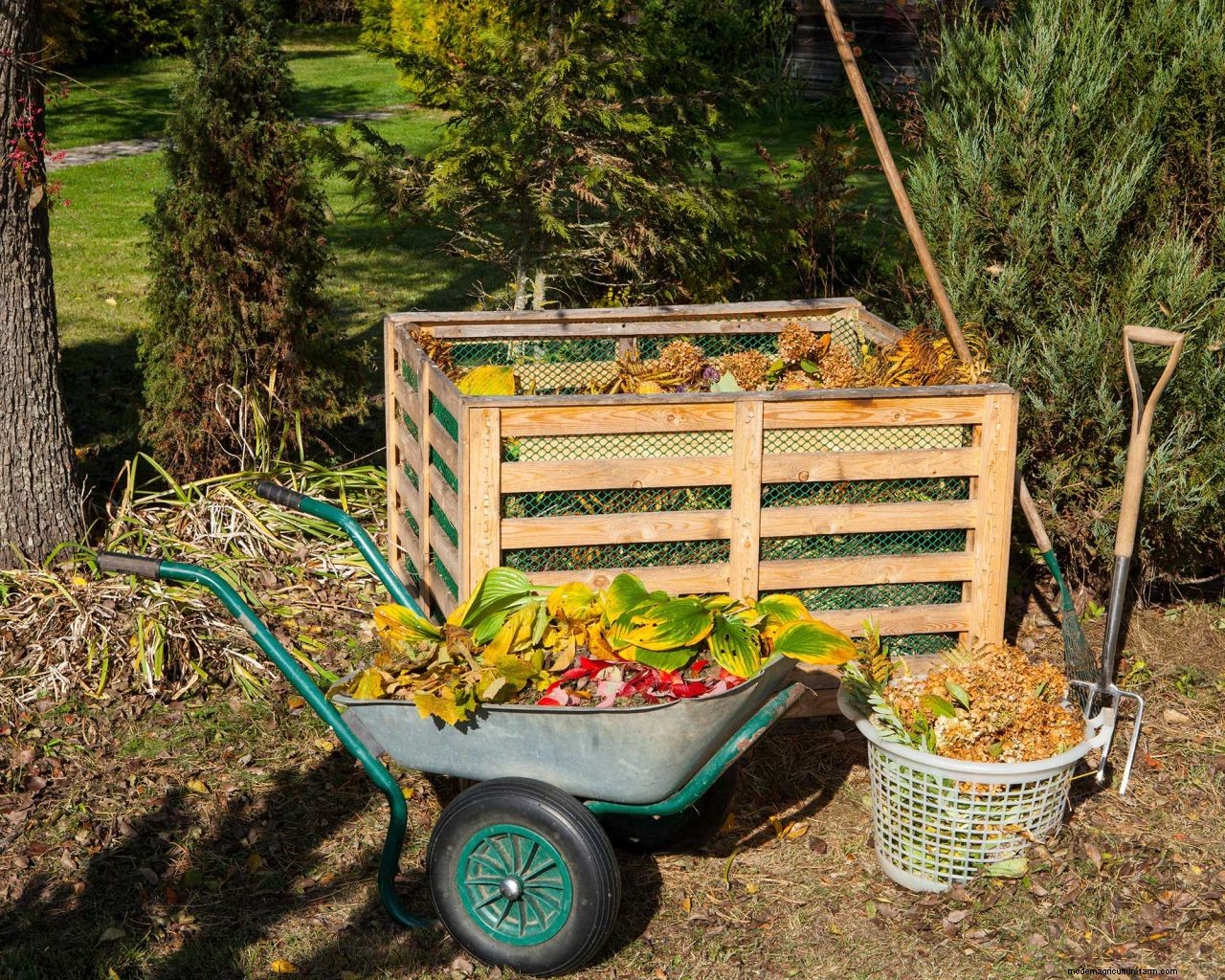 How to prepare a garden for winter: 10 ways to get your plot ready for the cooler season