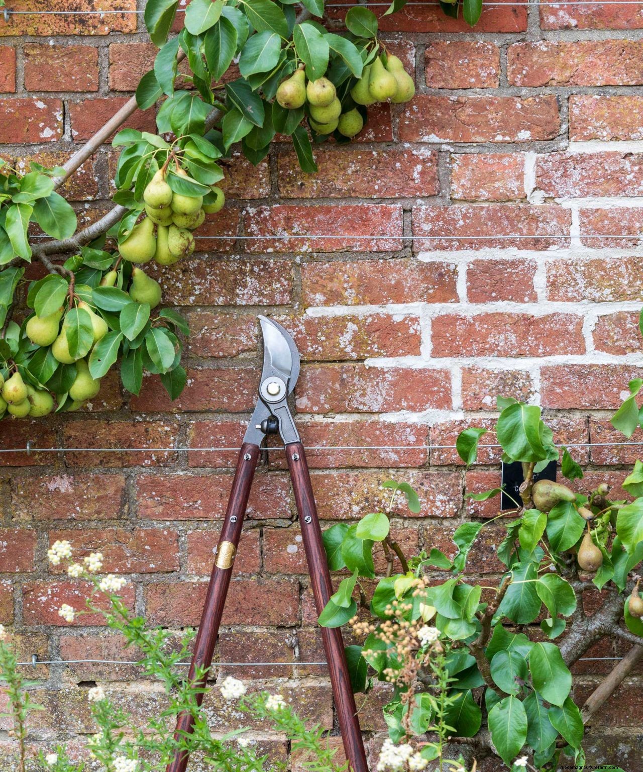 How to prepare a garden for winter: 10 ways to get your plot ready for the cooler season