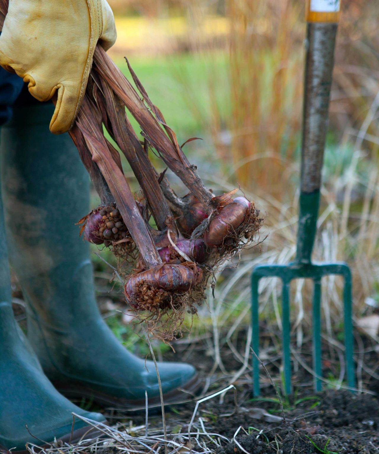 How to prepare a garden for winter: 10 ways to get your plot ready for the cooler season