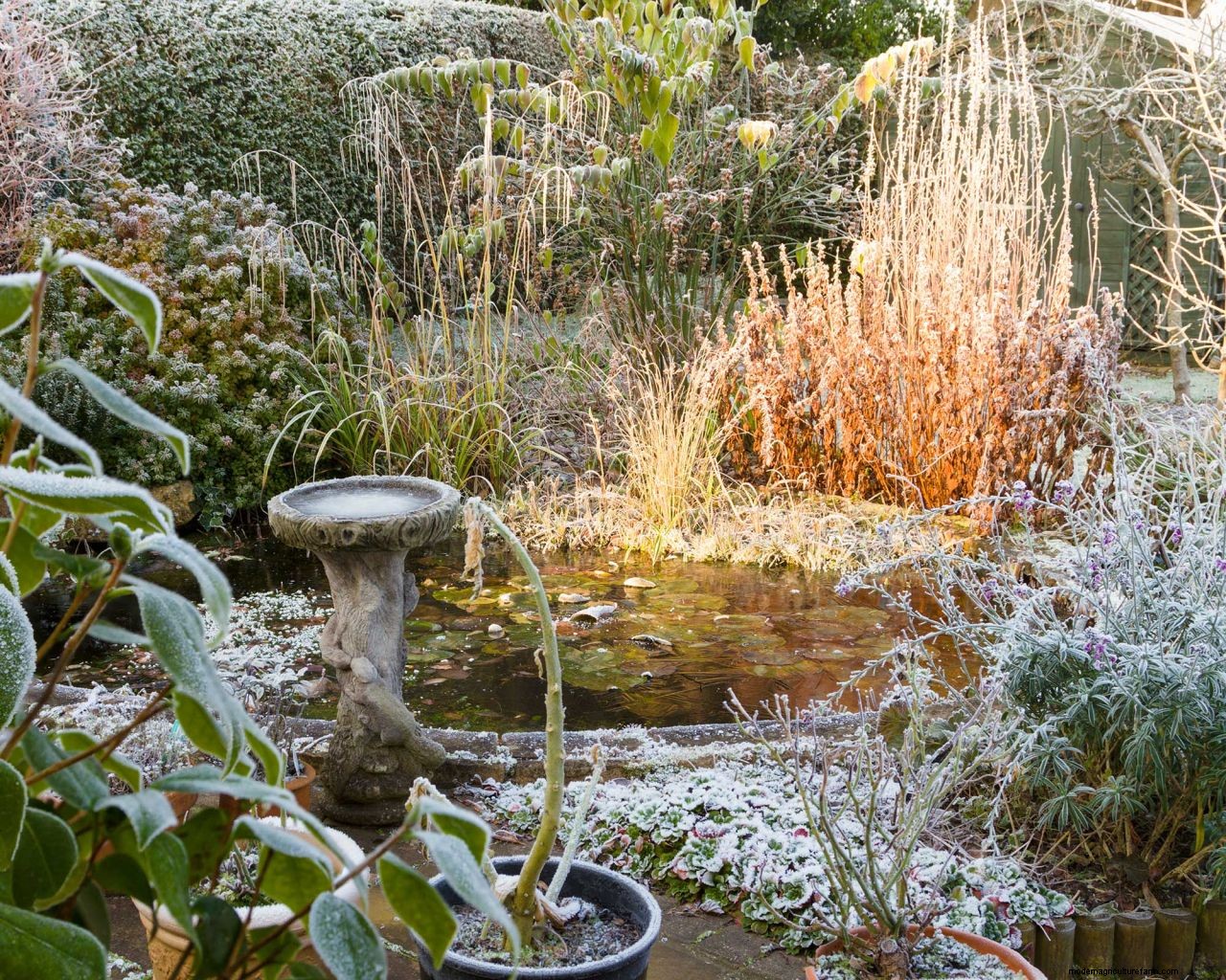 How to prepare a garden for winter: 10 ways to get your plot ready for the cooler season