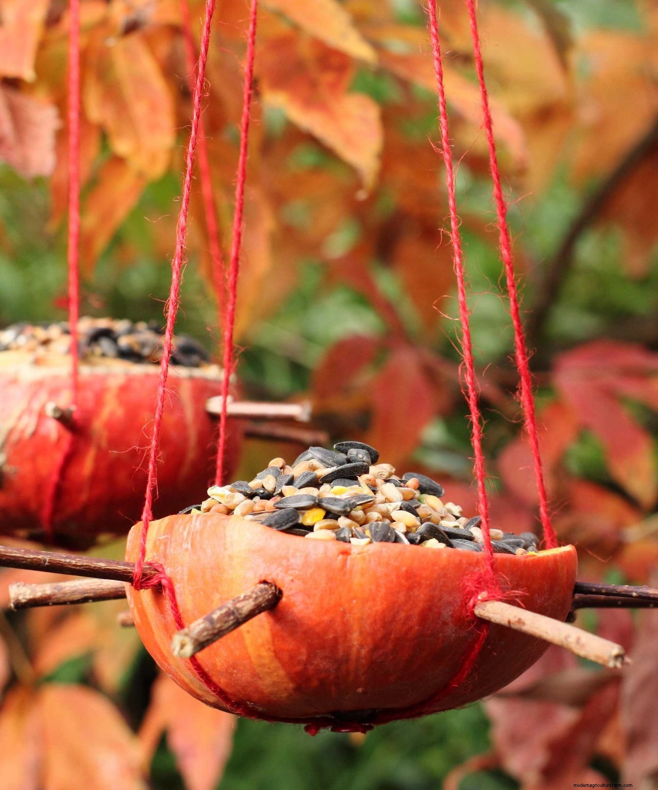 What to do with a pumpkin after Halloween: 8 clever ideas to reduce waste