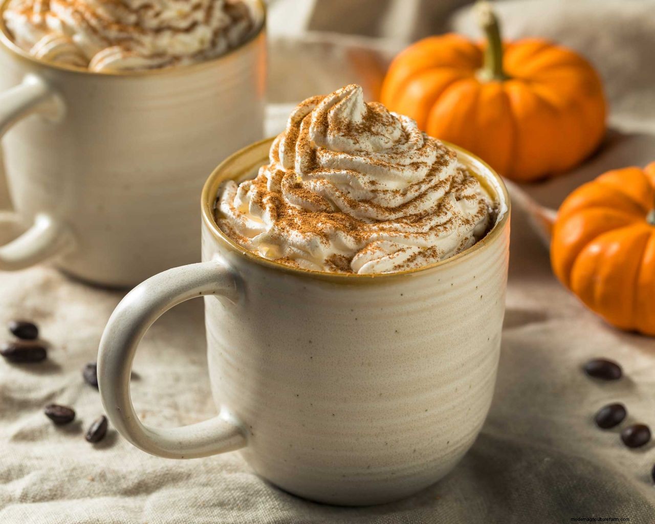 What to do with a pumpkin after Halloween: 8 clever ideas to reduce waste