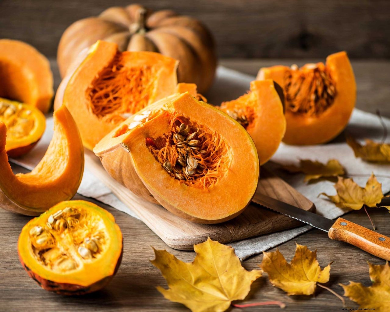 What to do with a pumpkin after Halloween: 8 clever ideas to reduce waste
