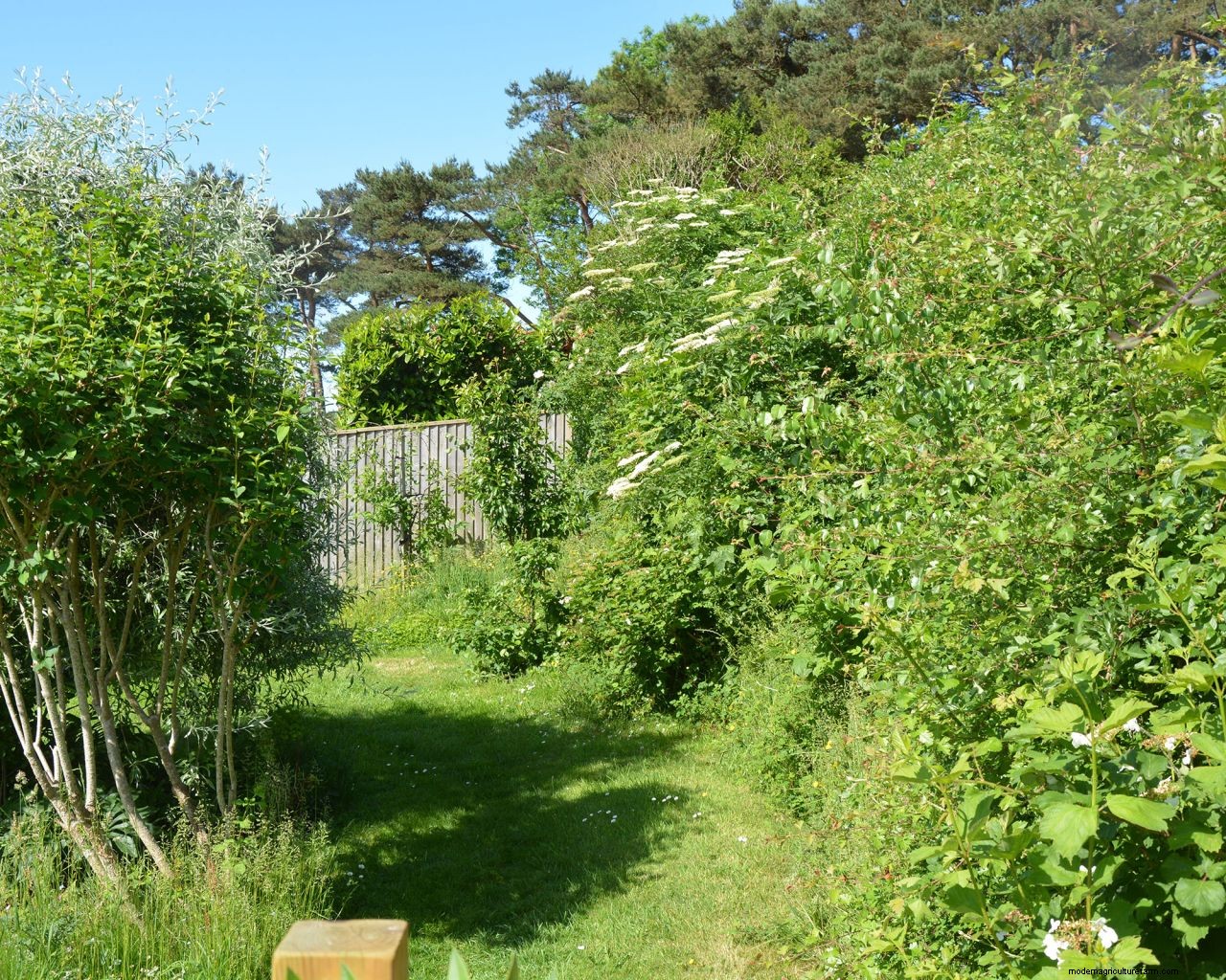 November gardening jobs: 10 essential tasks to maintain your plot