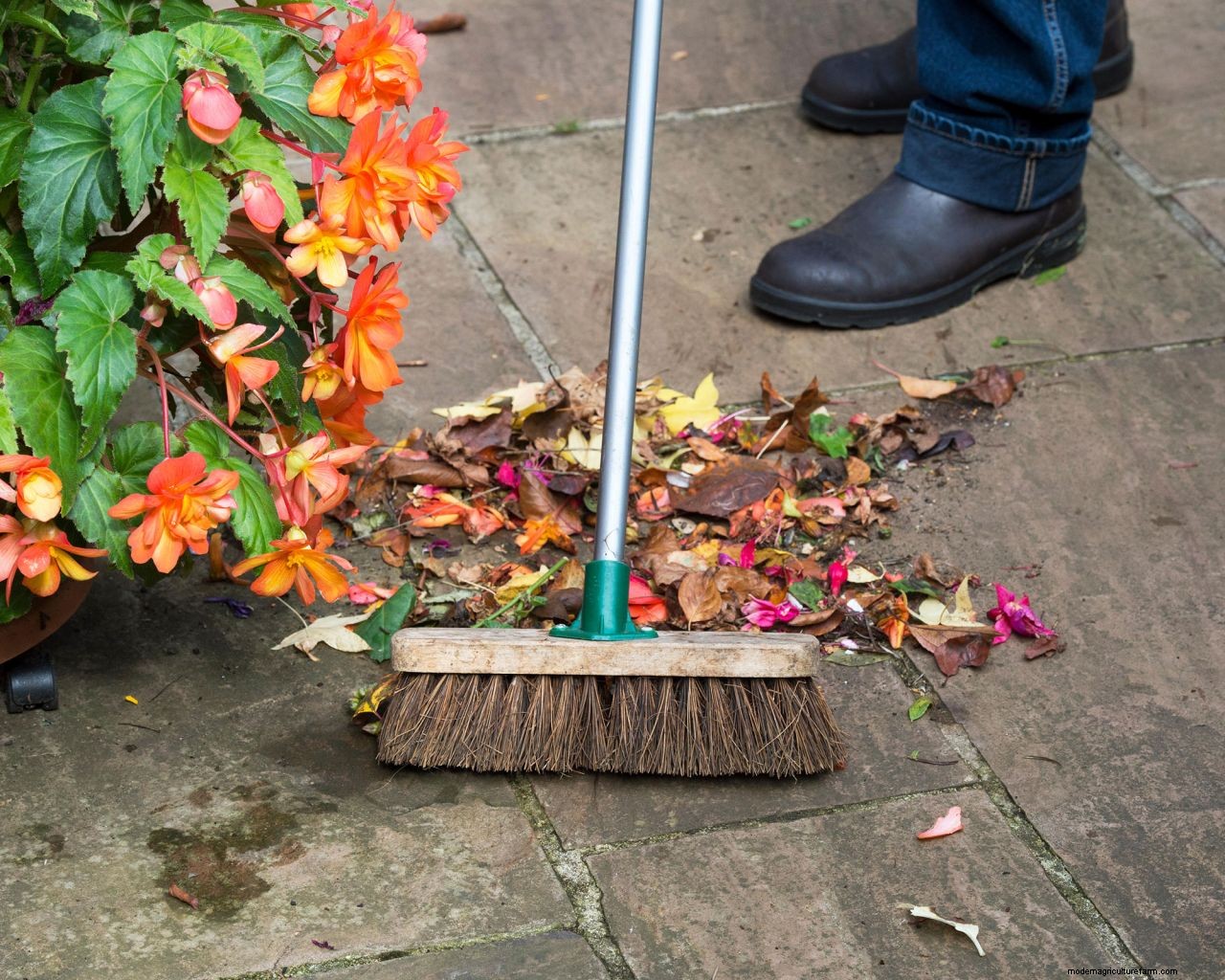 November gardening jobs: 10 essential tasks to maintain your plot