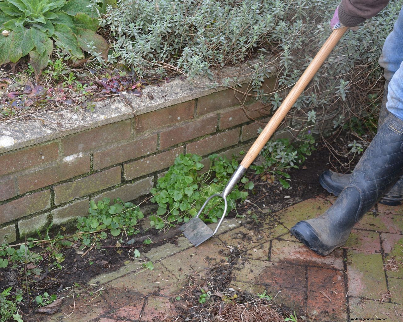 November gardening jobs: 10 essential tasks to maintain your plot