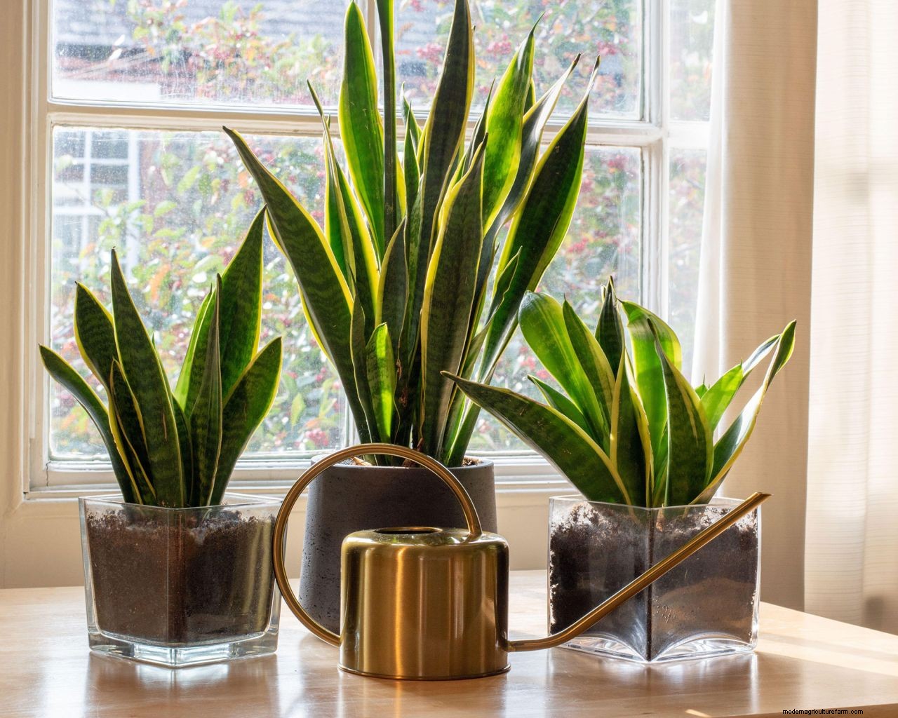 November gardening jobs: 10 essential tasks to maintain your plot