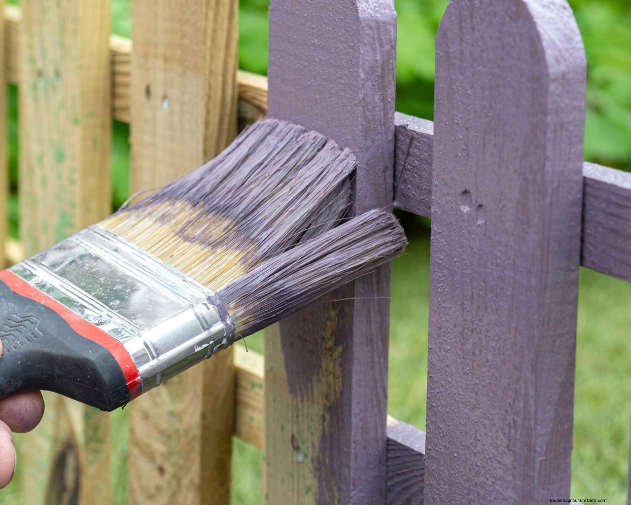 How to paint a fence: get perfect results in 4 easy steps