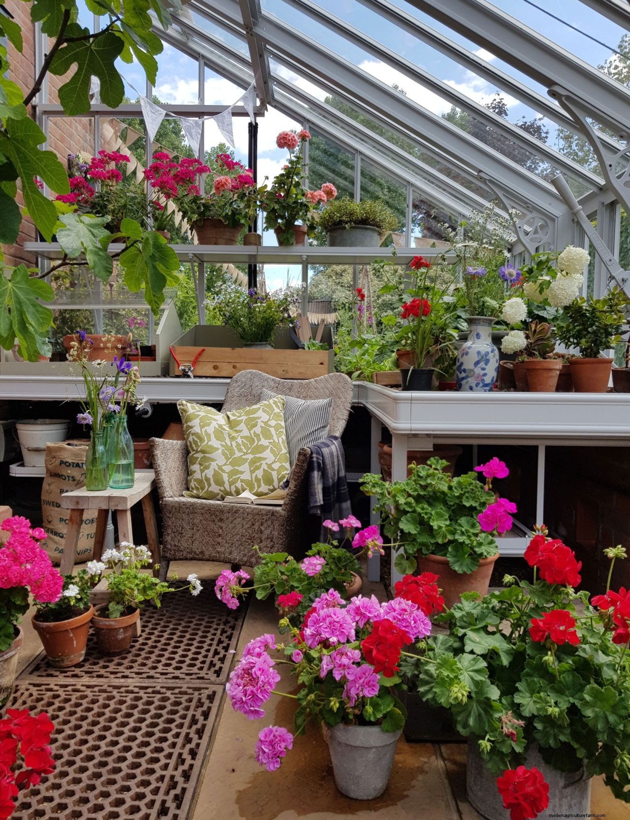 How to organize a greenhouse in 7 easy steps