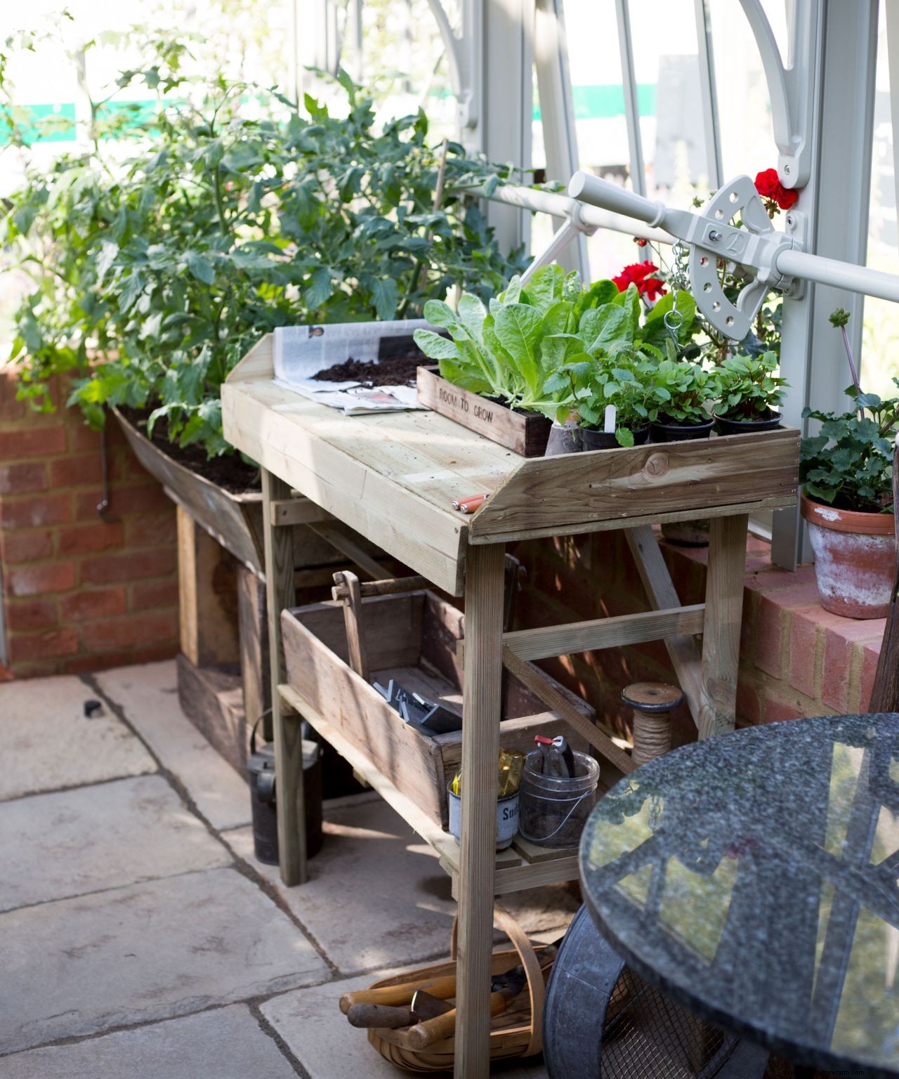 How to organize a greenhouse in 7 easy steps