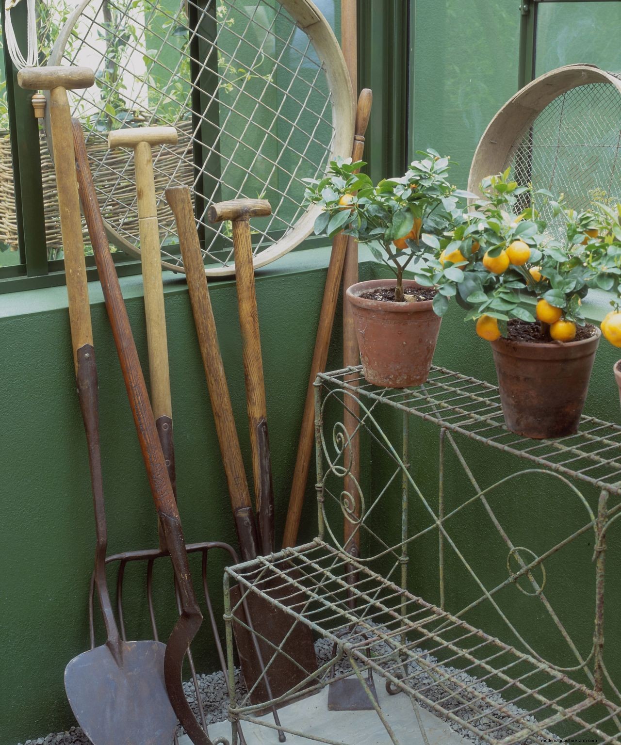 How to organize a greenhouse in 7 easy steps