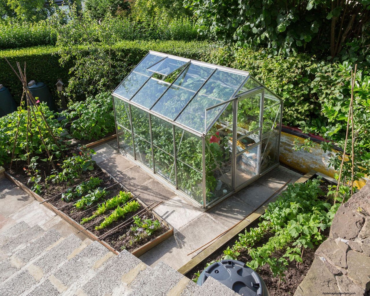 How to use a greenhouse to grow plants, fruit and vegetables