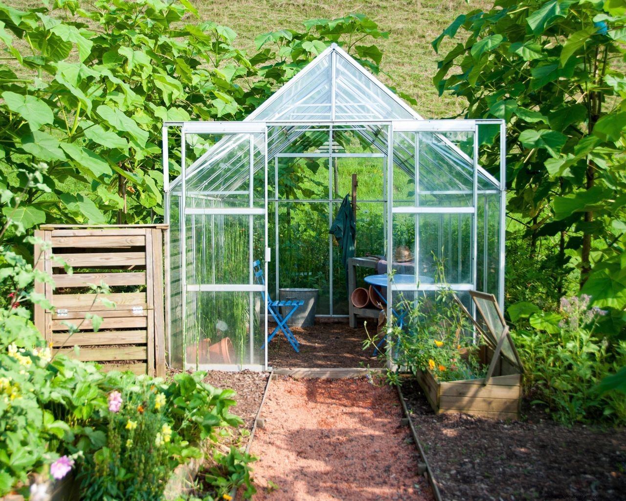 How to use a greenhouse to grow plants, fruit and vegetables